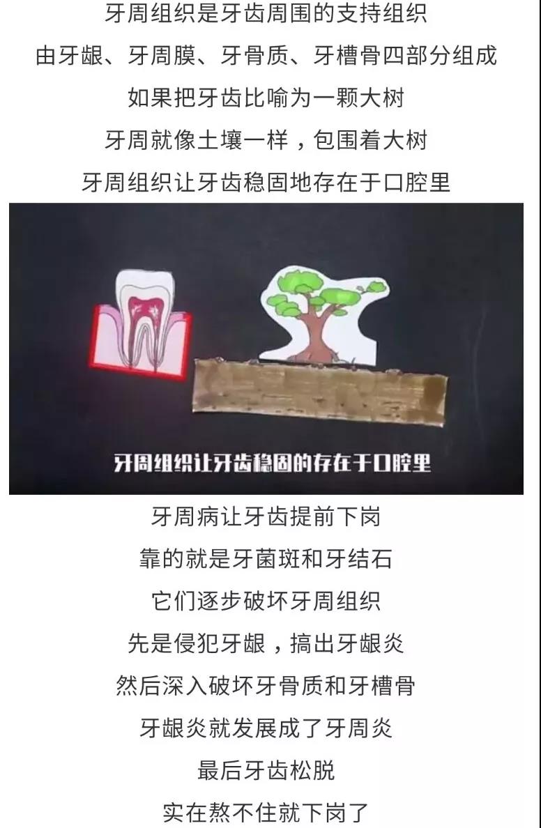 微信图片_20191021111654.jpg