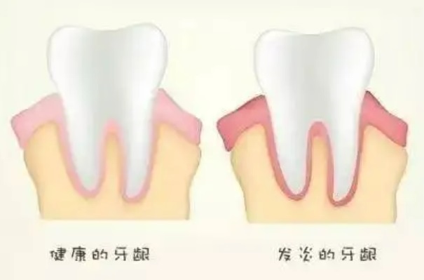 科普3.jpg
